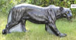 3D Tiere - Franzbogen, laufender Panther